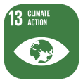 SDG Icon 13