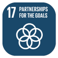 SDG Icon 17
